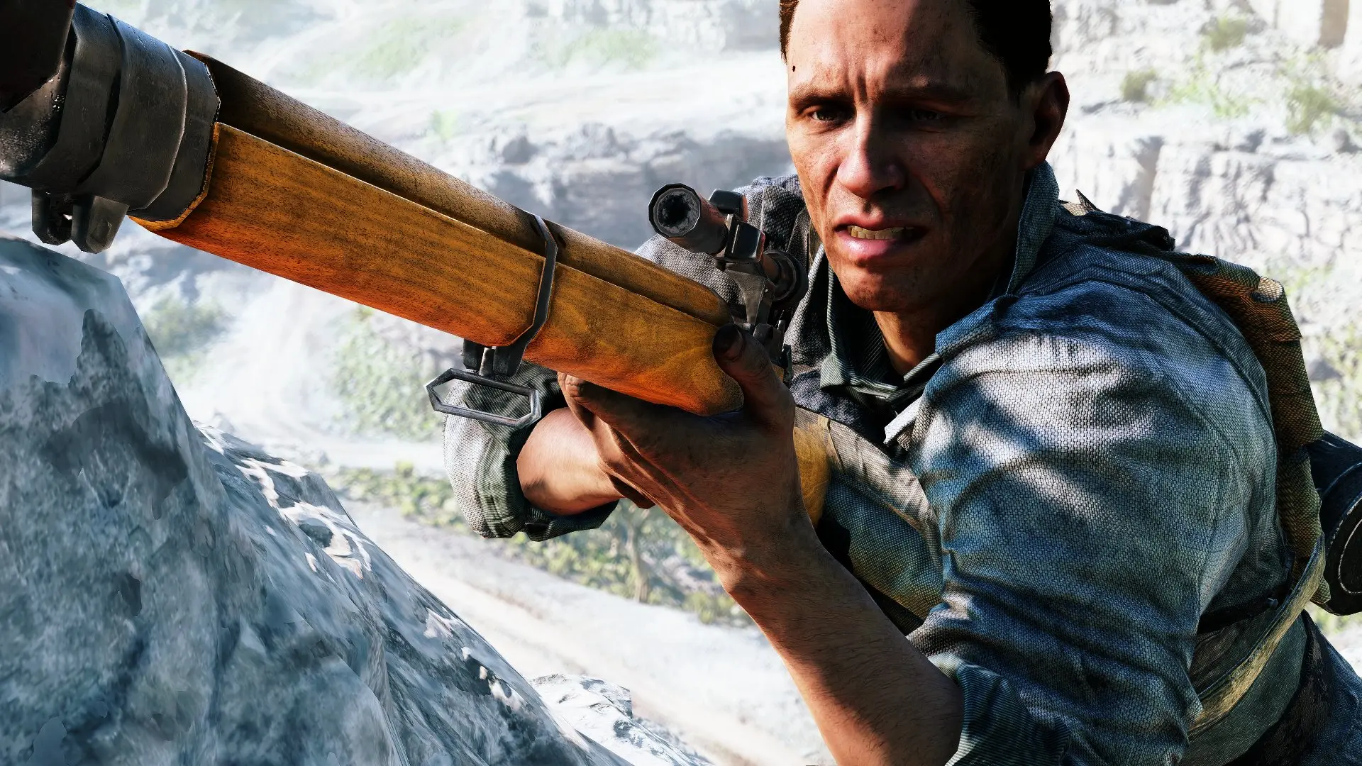 Battlefield V